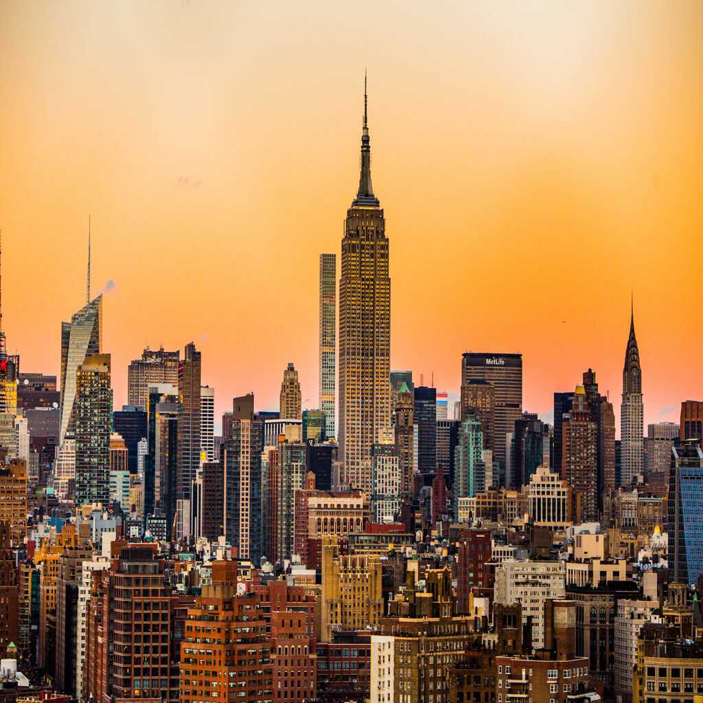 new york doctors
