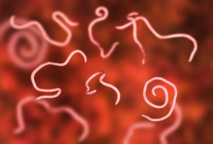 bacterial-infection